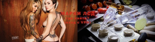 гашик Нефтекумск