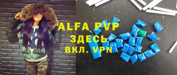 гашик Нефтекумск