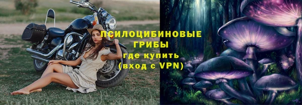 гашик Нефтекумск