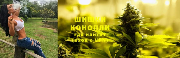 трава Нея