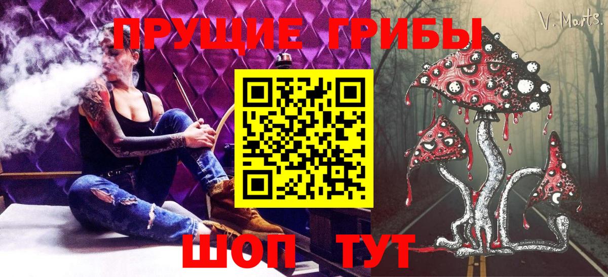 Псилоцибиновые грибы мицелий Полевской