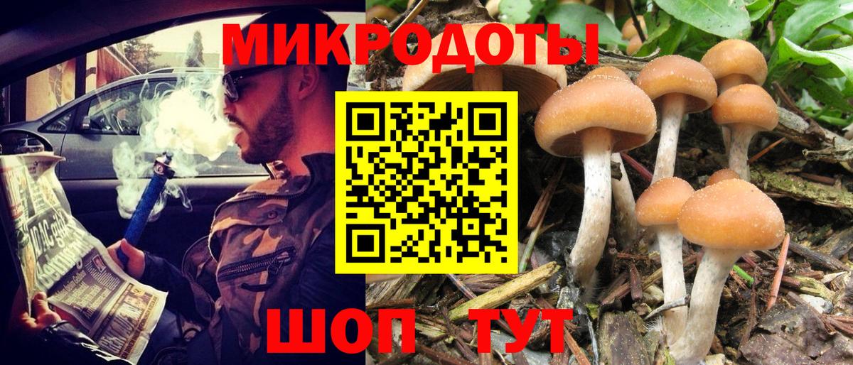 Полевской  Псилоцибиновые грибы прущие грибы  Галлюциногенные грибы мицелий  Вход с VPN 